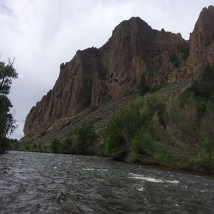 Meet your Posher, Rodney